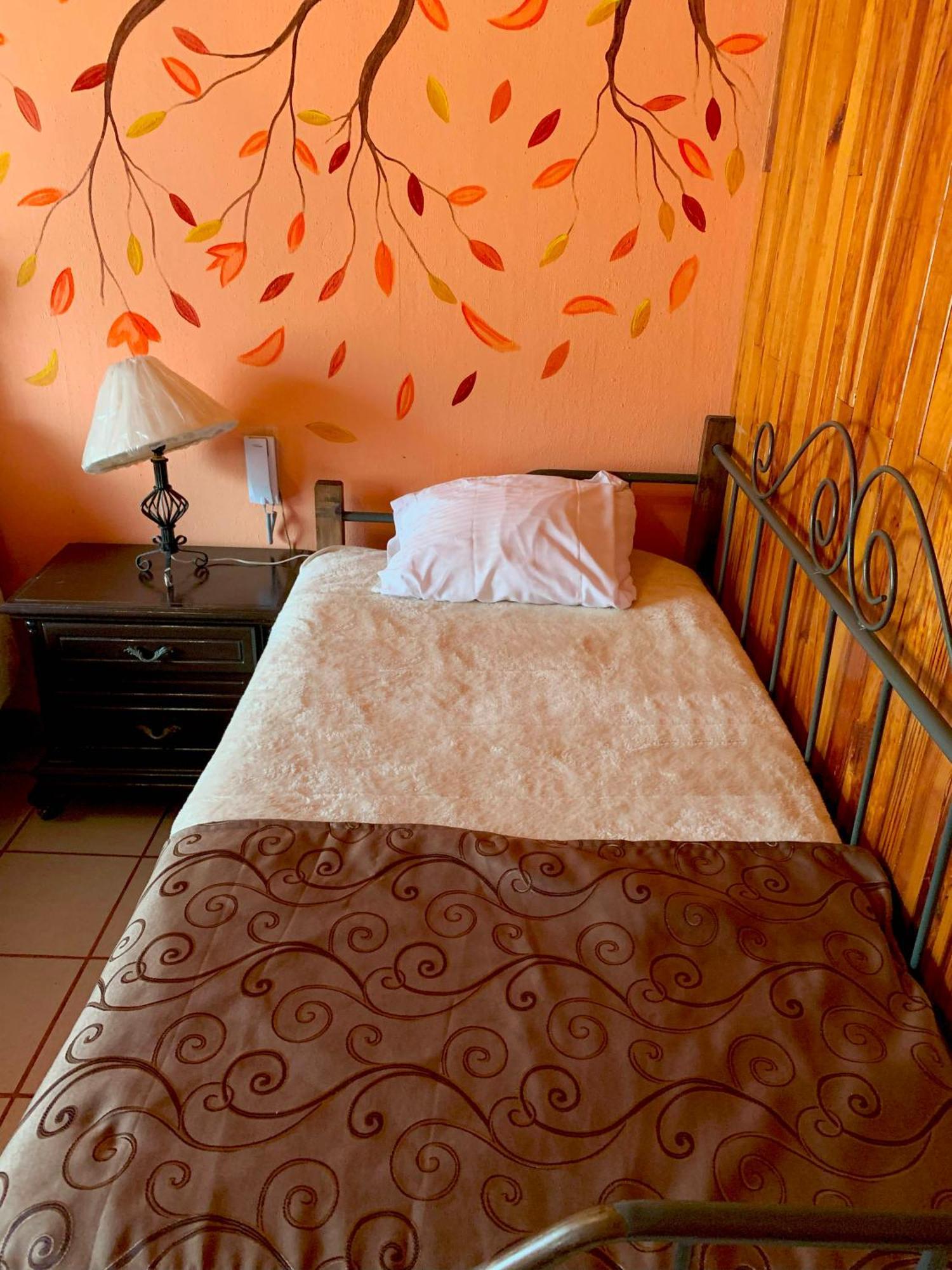 Hotel Real De La Sierra Мазамитла Экстерьер фото